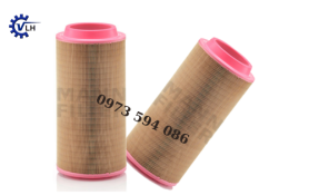 Air Filter / Lọc gió 100012149